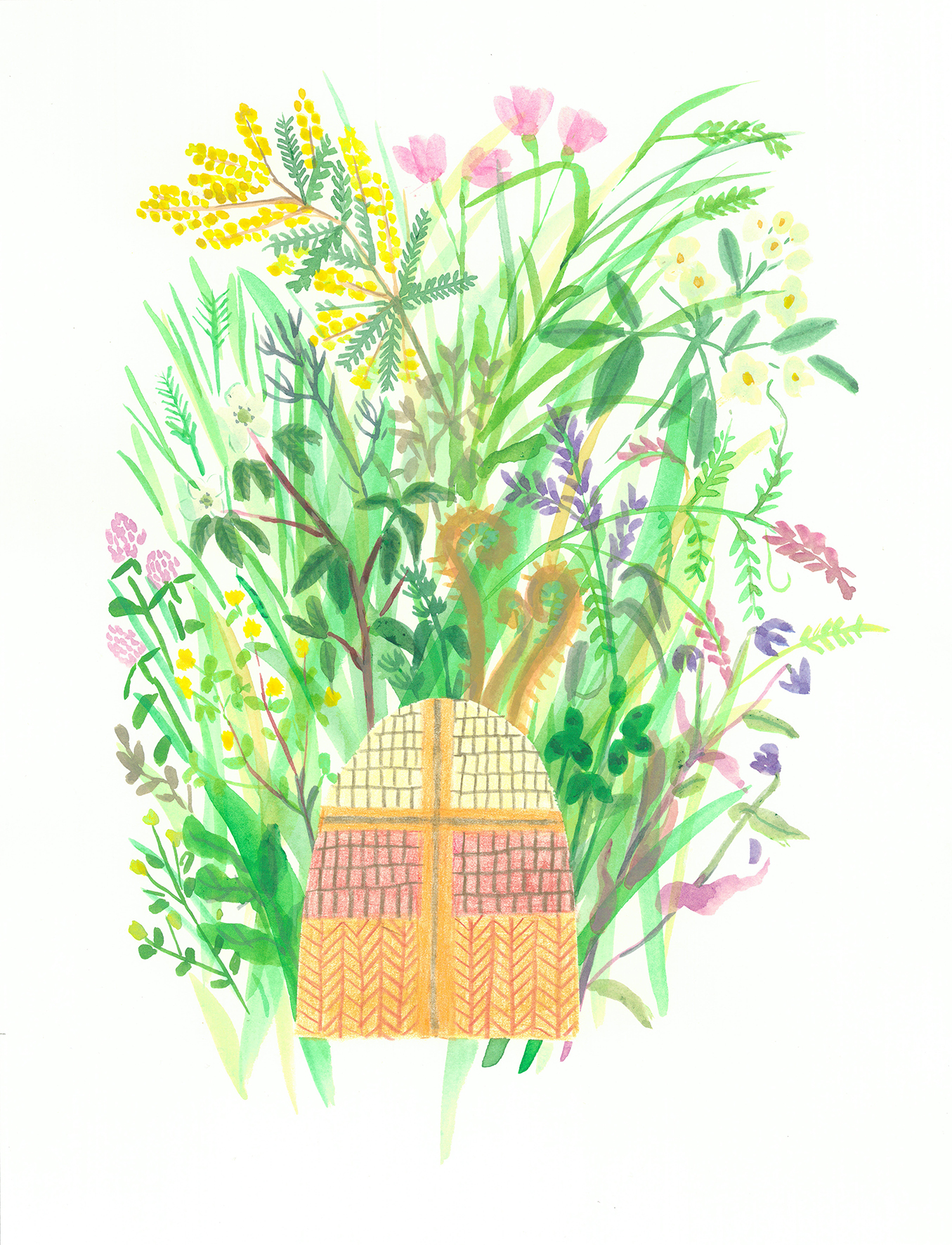 5/30-6/14 佐々木愛「家と草花」展 - 夕書房 SEKI SHOBO 5/30-6/14 佐々木愛「家と草花」展 - 夕書房 SEKI SHOBO