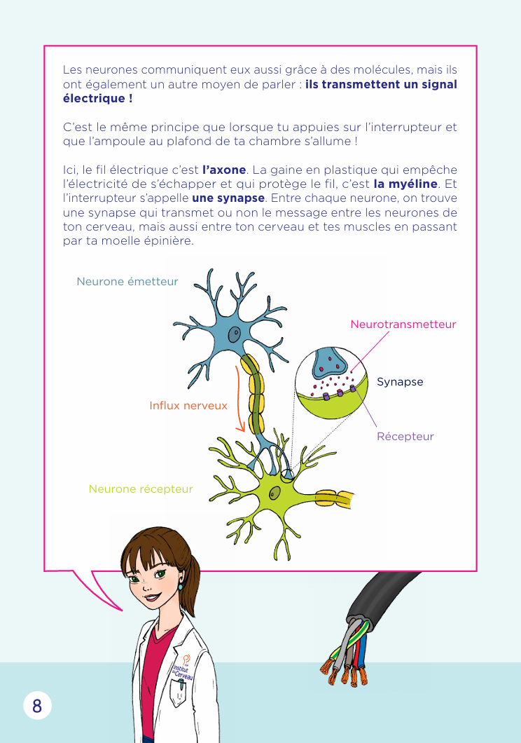 Cerveau de l'enfant et de l'adolescent. Neurosciences. Livre gratuit cerveau. ICM. Institut du cerveau. PDF gratuit. Comprendre le cerveau. Jeux sur le cerveau.