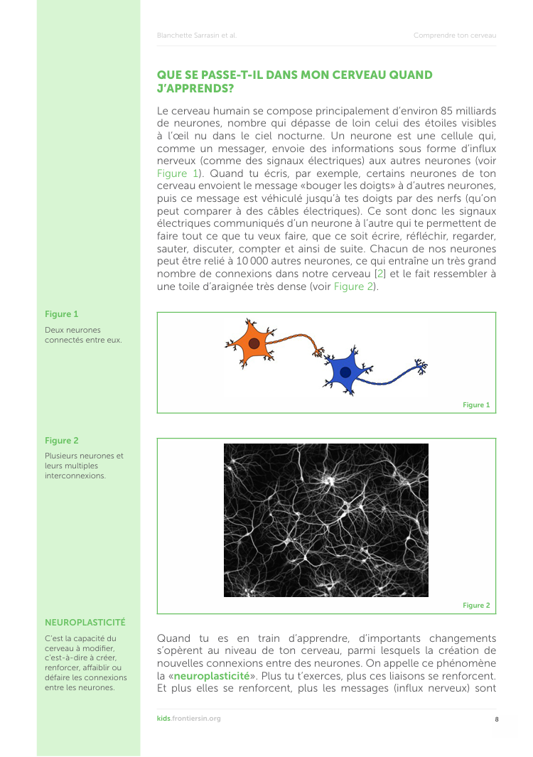 Compétences psychosociales. CPS. Ressources gratuites. PDF gratuit. Apprentissage. Cerveau de l'enfant. Philo pour enfants. Philosophie pour enfants. Neurosciences. Tout ce que vous et vos enseignants devriez savoir sur le cerveau en apprentissage.