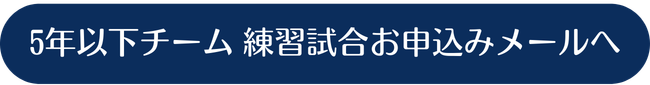 ボタン