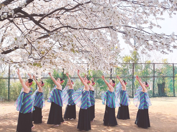 Purotu Ohashi Polynesian Dance Studio プロツ大橋ポリネシアンダンススタジオ