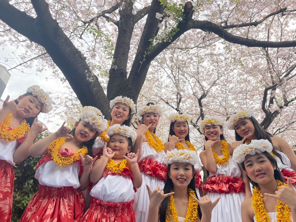 4月 廻田さくらまつり (東村山) - Purotu Ohashi Polynesian Dance