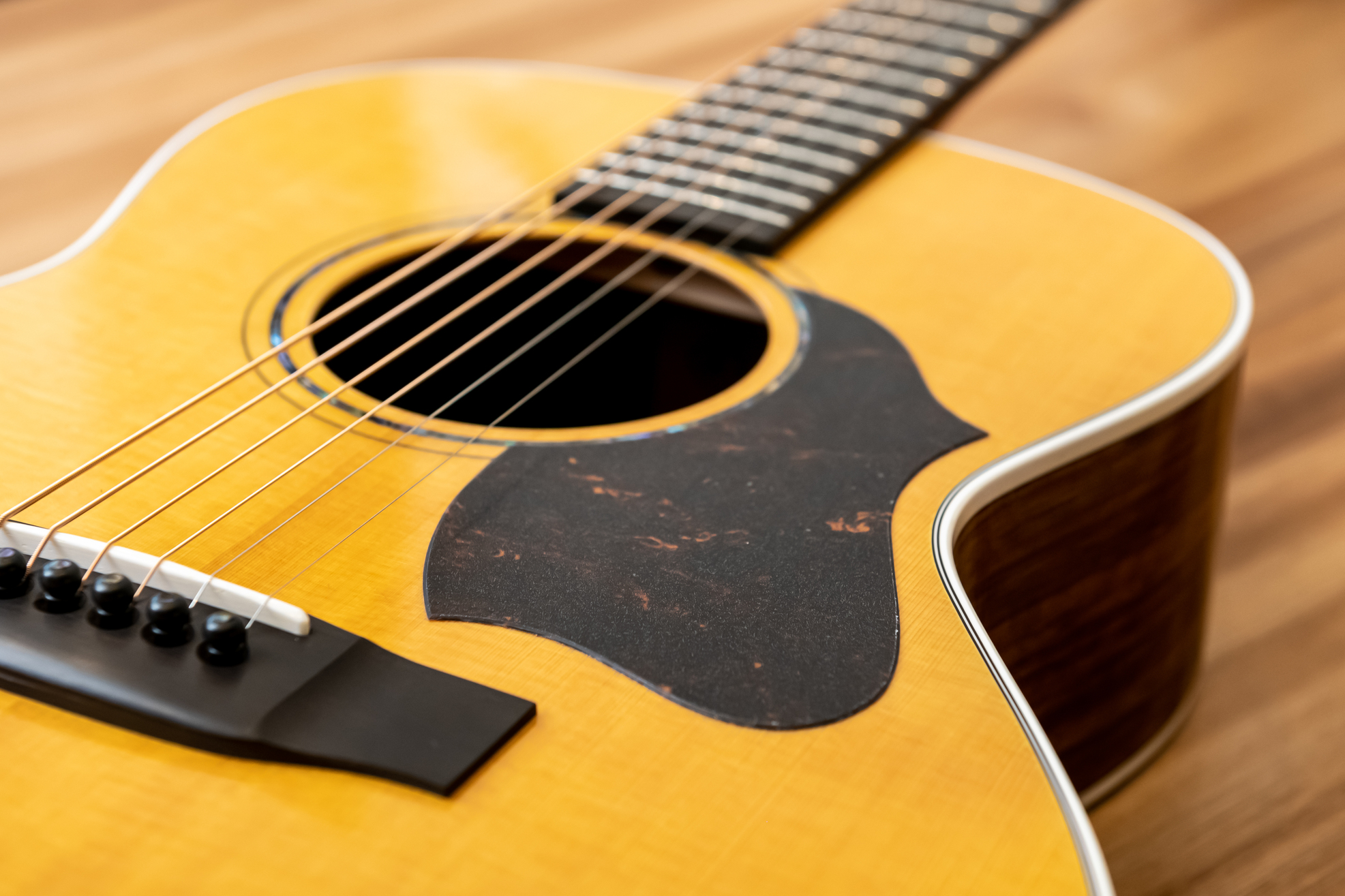 VM70 VINCENT guitar & others