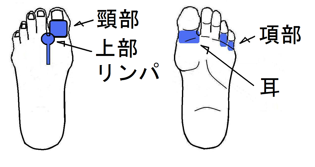 孫の健康 丈夫な体を目指して ツボ健康療法講座 孫の健康 丈夫な体を目指して ツボ健康療法講座