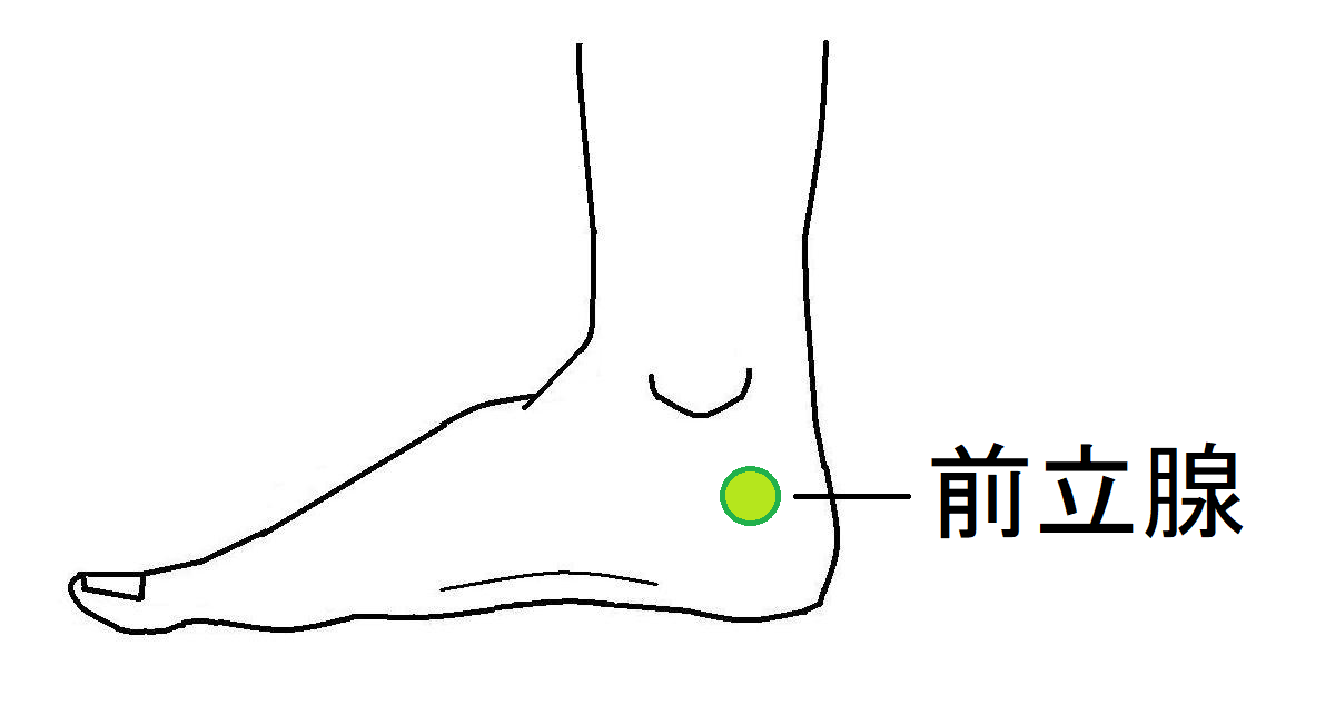 前立腺肥大 ツボ健康療法講座