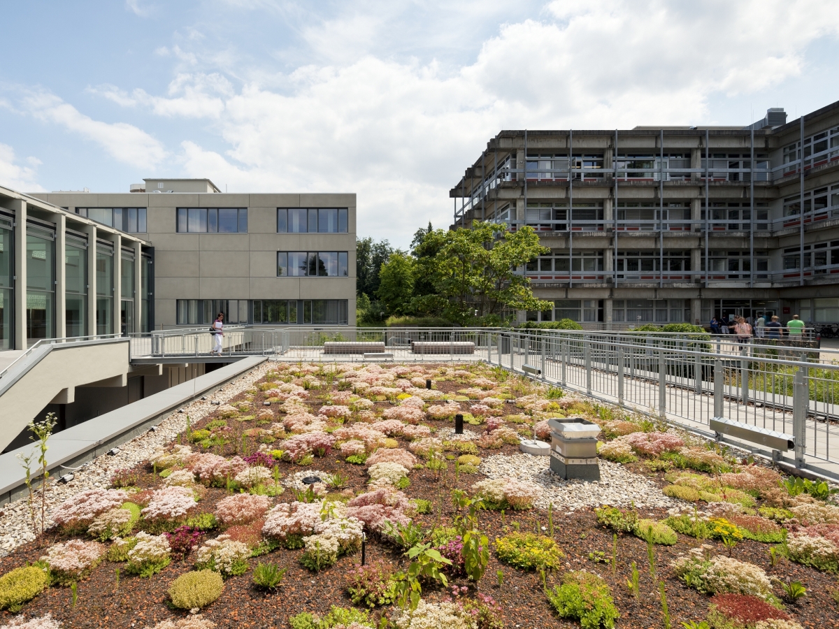 Technische Universität, Darmstadt