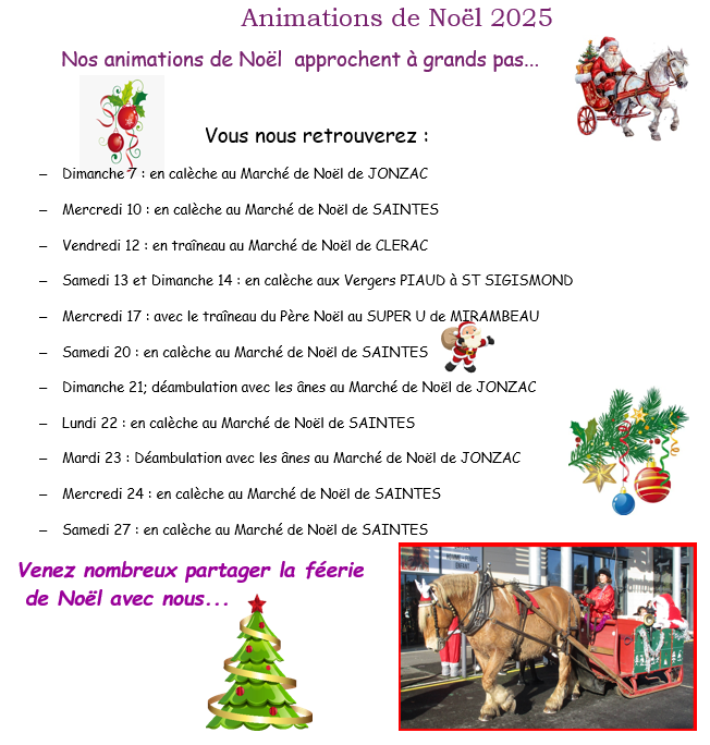 ANIMATIONS NOËL 2025