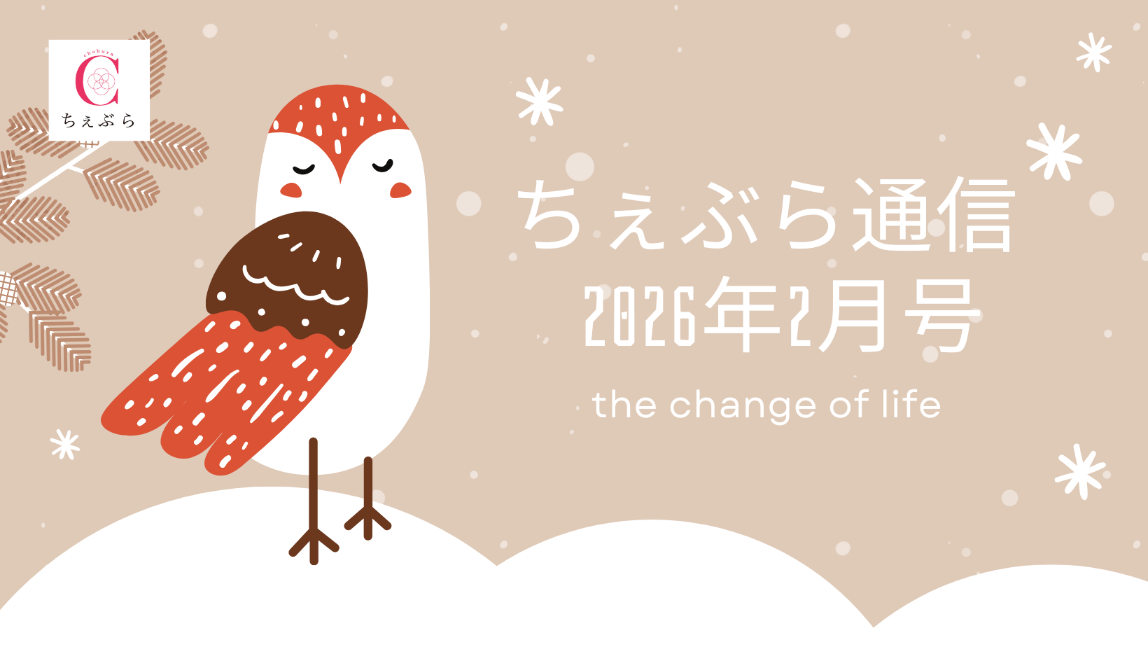 更年期ケアの「ちぇぶら通信」2026年2月号