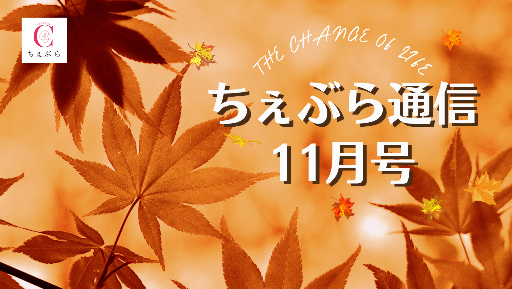 更年期ケアの「ちぇぶら通信」11月号