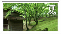 野底山森林公園　夏