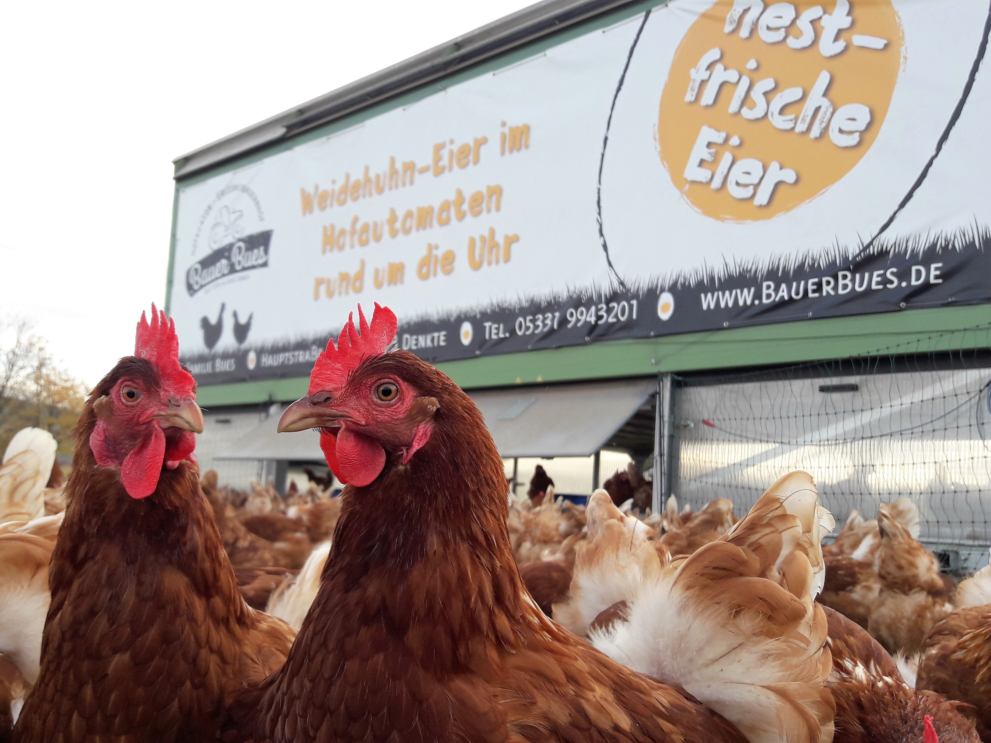 Hofladen Erlebnisbauernhof Der Erste Und Einzige Seiner Art Im Gesamten Braunschweiger Land