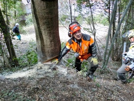 大径木シラカシ５８㎝の受け口確認