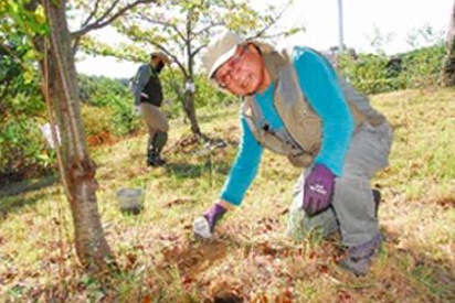 松イキイキ活力剤（紙コップ１杯200cc）