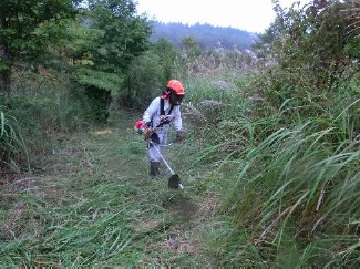 登山道の草刈５