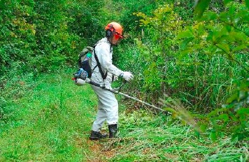 登山道の草刈８