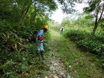 登山道の草刈３