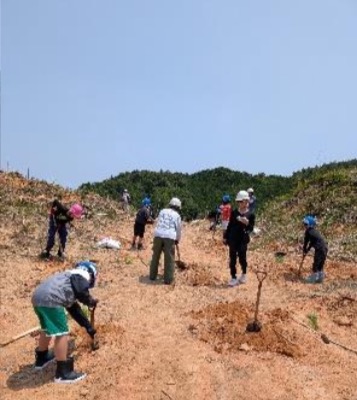 （機械で穴を掘り植え付け土壌改良+施肥）