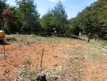 植栽地の整地前