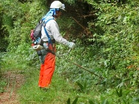 登山道の草刈１