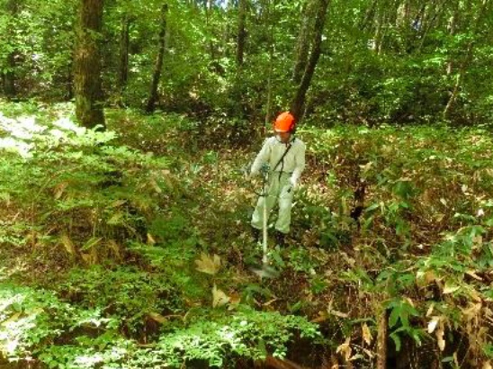 測点７周辺の急峻な地形の草刈り