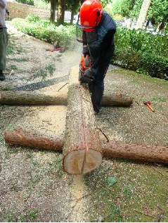 ベンチ用丸太の縦挽き