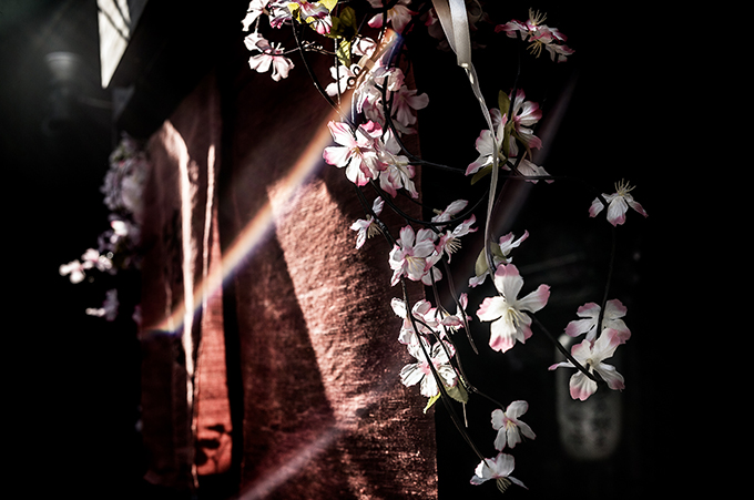 Strassenszene in Kyoto während der Kirschblüte Japan, als Farbphoto