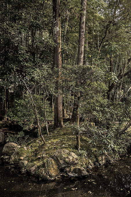 Park Kyoto Nanzen-ji in Kyoto, Japan, als Farbphoto