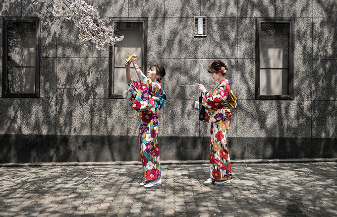 Zwei Japanerinnen in Kyoto mit Kirschblüten frühmorgens als Farb-Photographie, Japan