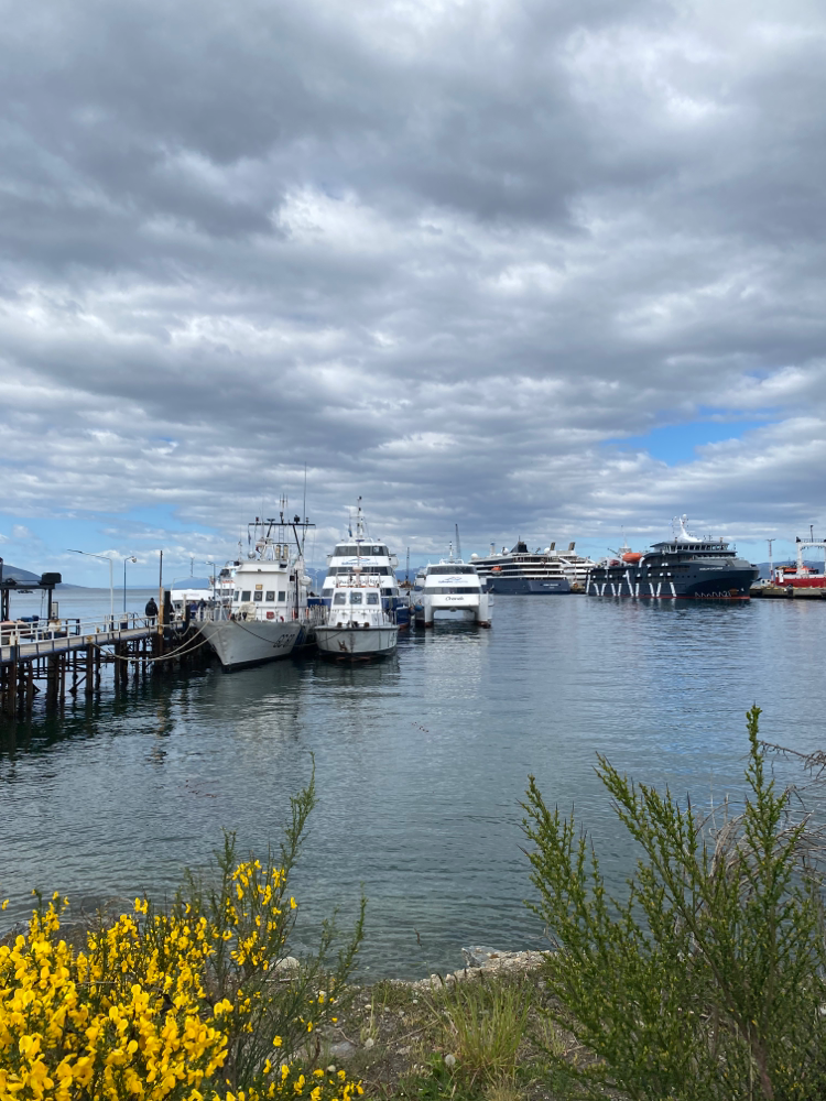 Auf gehts zur Fahrt auf dem Beagle-Kanal