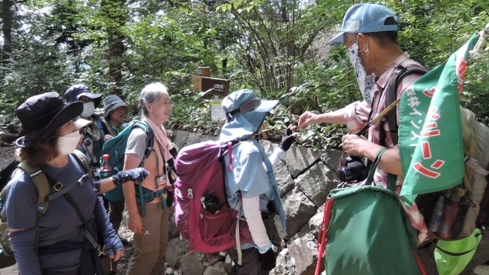 入江克昌　(GC作戦)センボンヤリを観察　高尾山 2022年10月1日