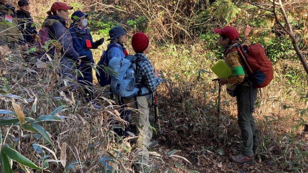 鈴木幸代　(ふれあい推進事業)参加者に問いかける　南高尾山稜 2022年12月8日