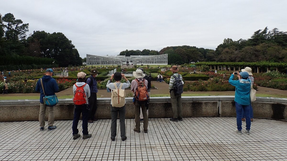 高橋喜蔵　(野外研修)バラ・テラスから整形式沈床庭園(バラ園)及び温室を望む　神代植物公園 2022年10月10日