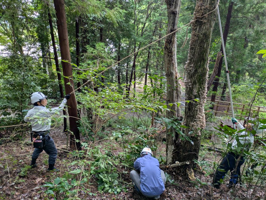 第三土曜定例活動 担当：芝原　9月第三土曜日_定例活動_枯損木の伐倒準備　パウロの森(聖パウロ学園高等学校の学校林)　2025年 9月20日