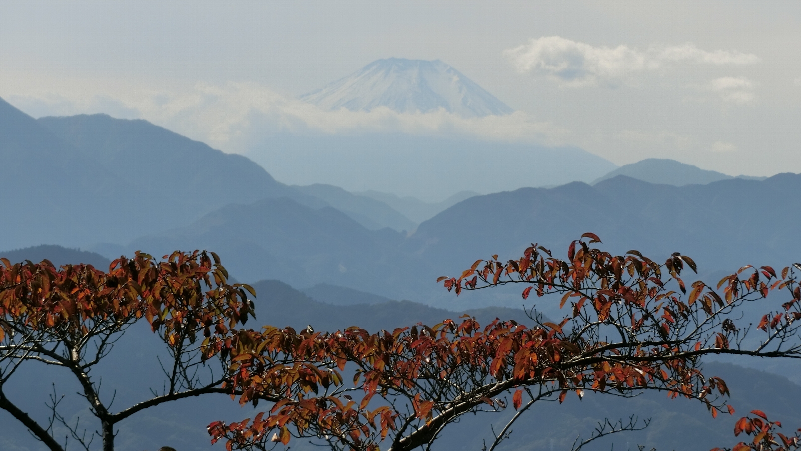 鍛冶健二郎　「富士山と紅葉」　高尾山　2021/10/24