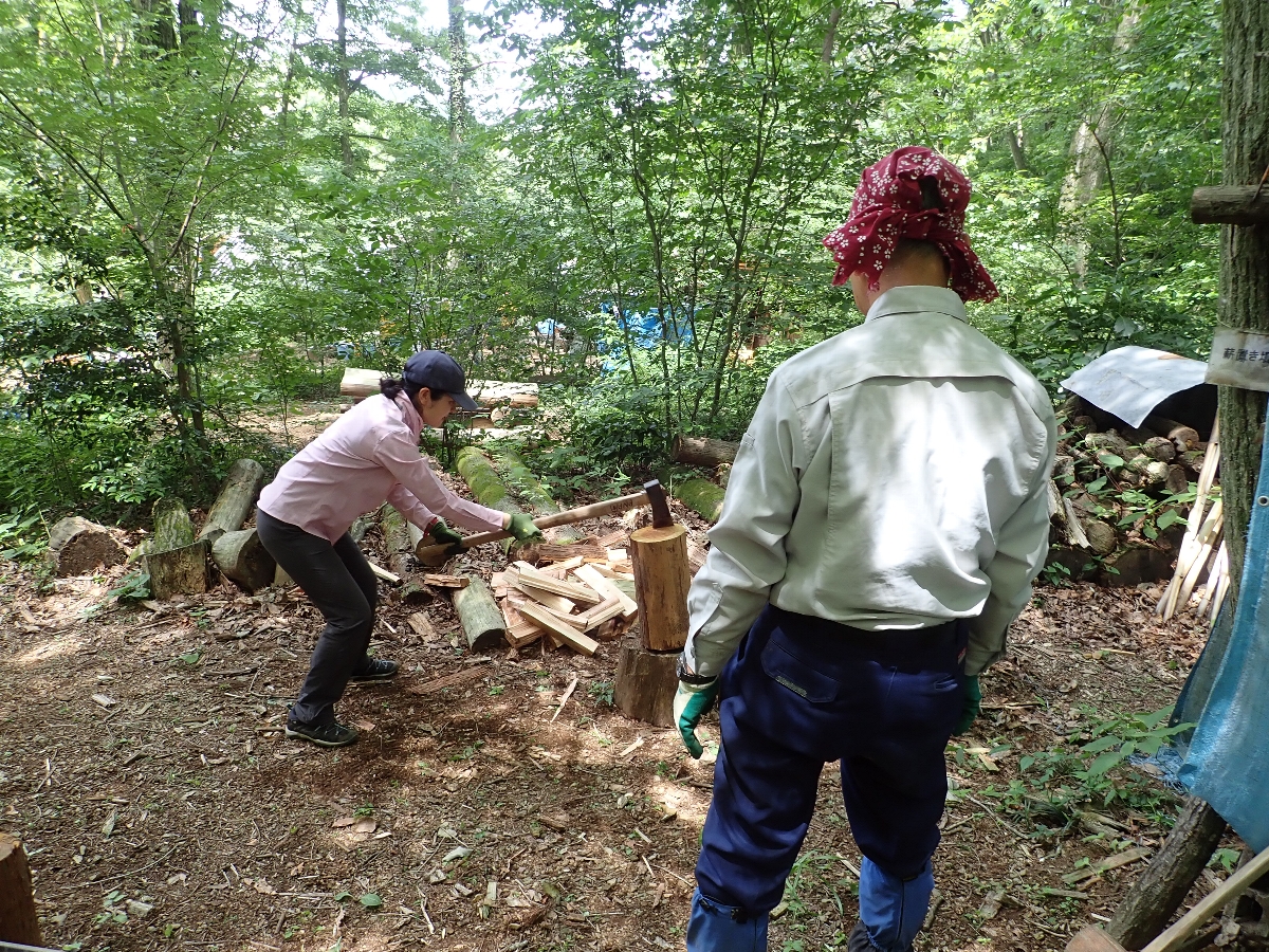 第三土曜定例活動 担当　(6月パウロの森くらぶ)第三土曜定例活動「薪割り研修」　パウロの森(聖パウロ学園高等学校の学校林)　2024年6月15日(土)