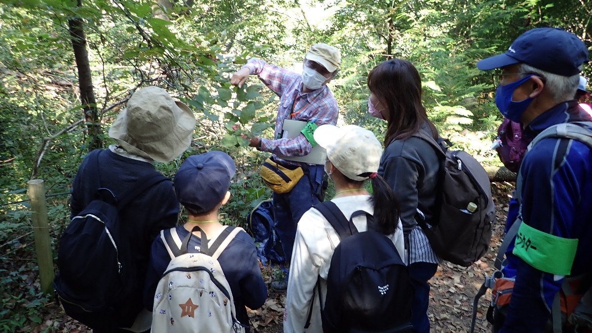芝原久　(親子自然観察会)樹木の話を熱心に聞く子供たち　高尾山 2022年10月23日