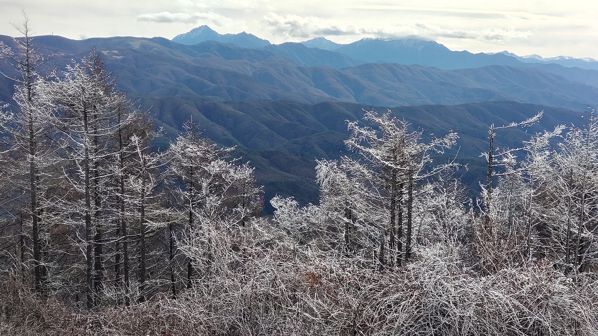 奥村具子　霧氷と南アルプスの遠景　長野県諏訪市守屋山 2022年12月1日