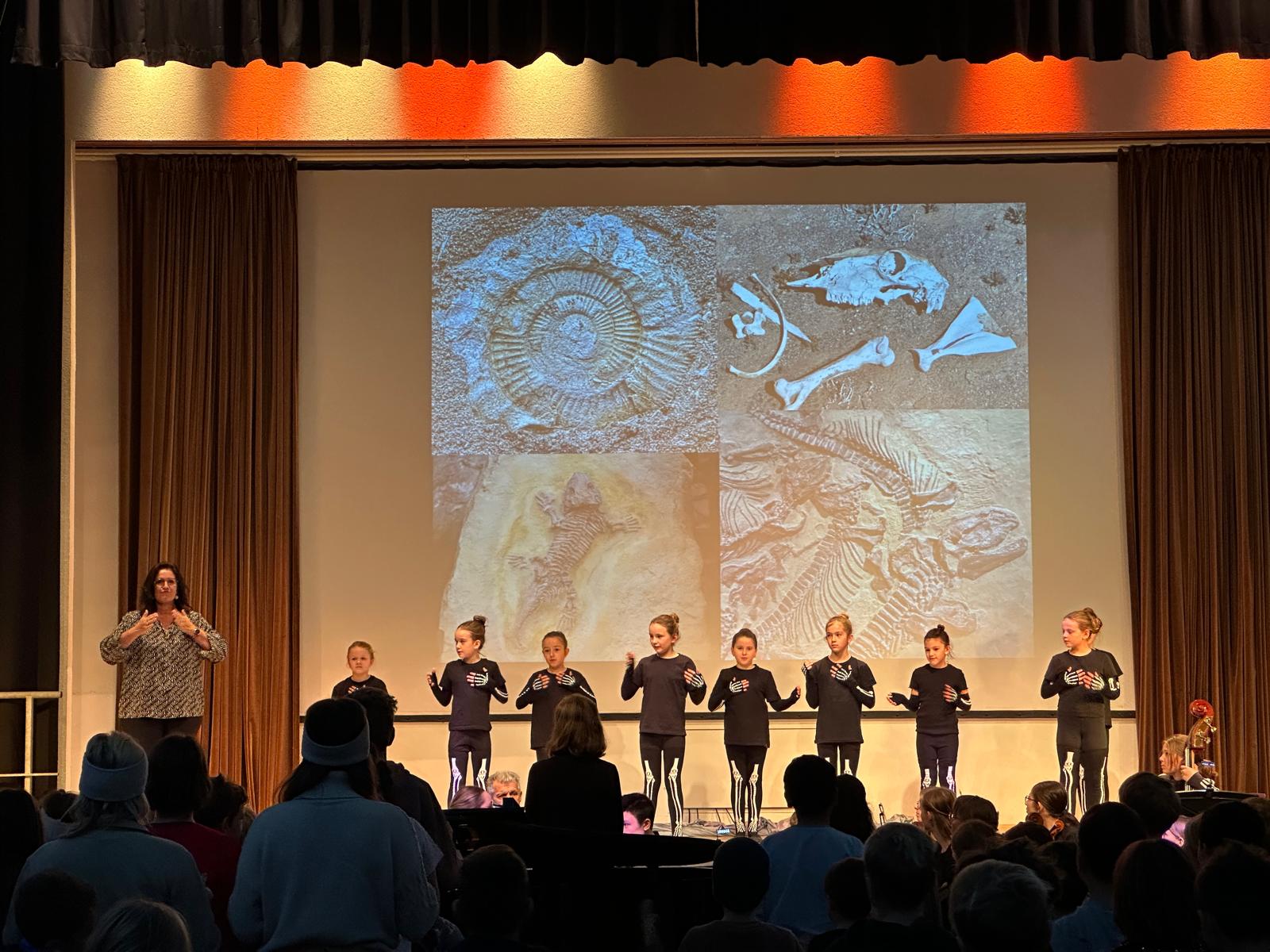 Karneval der Tiere im Salzhof Freistadt