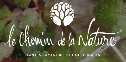 Le site de Christophe de Hody, naturopathe, herbaliste et botaniste de terrain