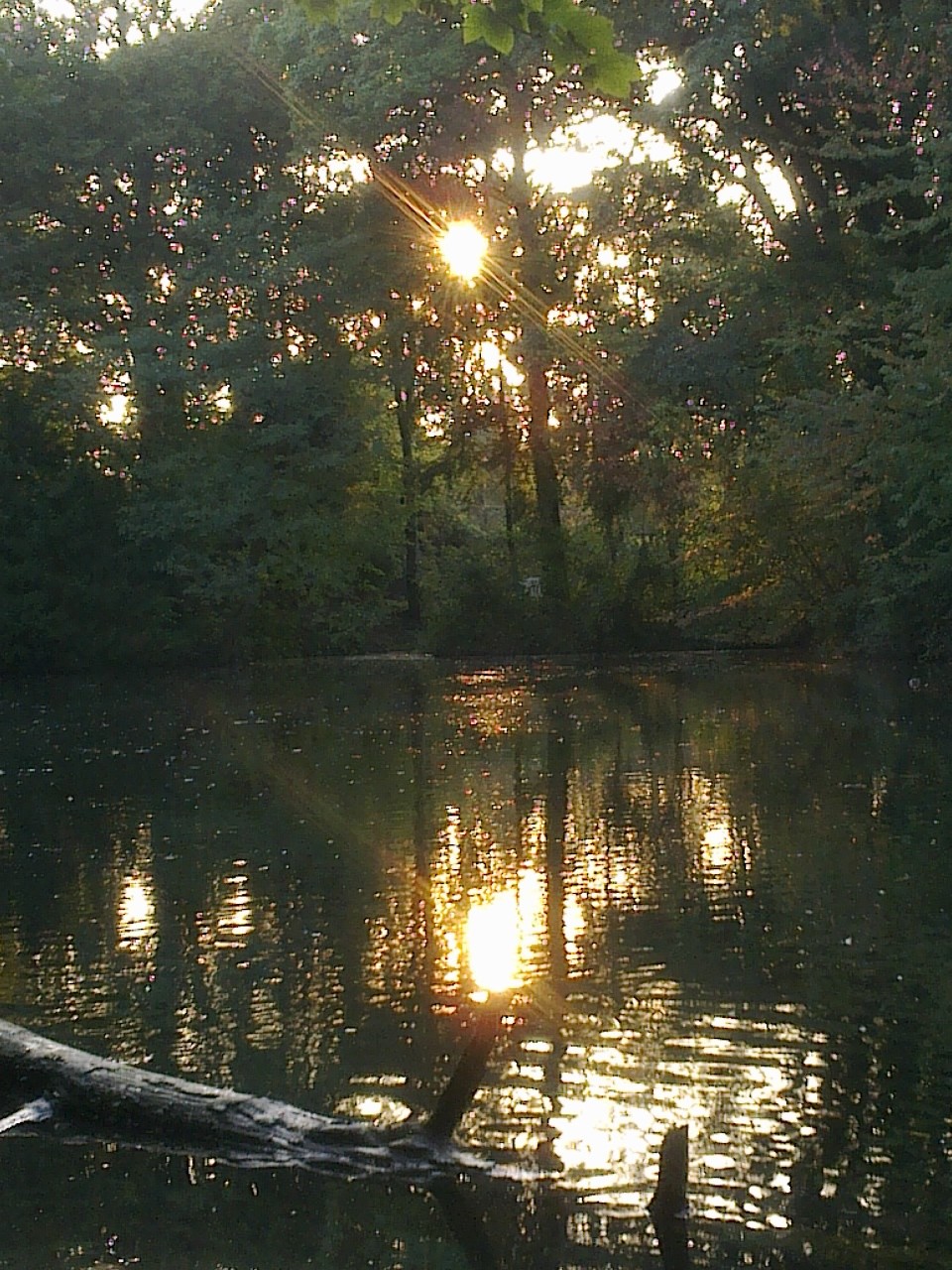 Naturruhe