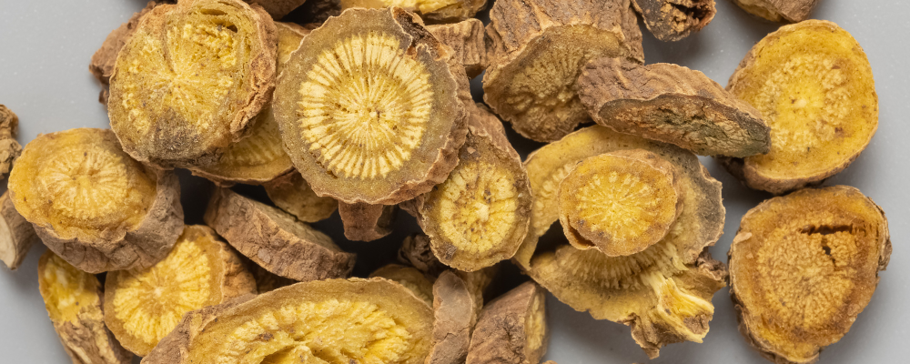 Baikal-Helmkraut - ein verborgener Schatz der Heilpflanzen