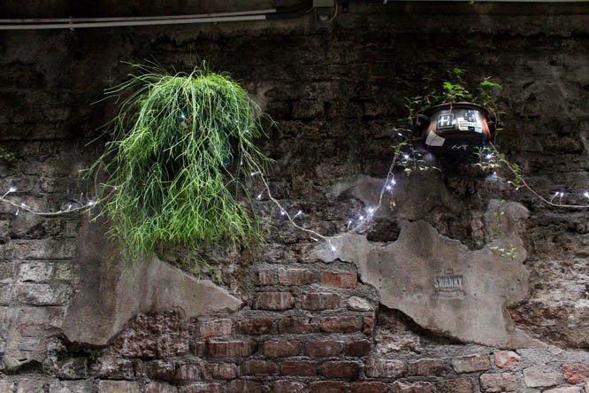 Wall with plants