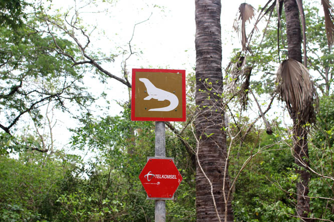 Warning sign for Komodo dragons