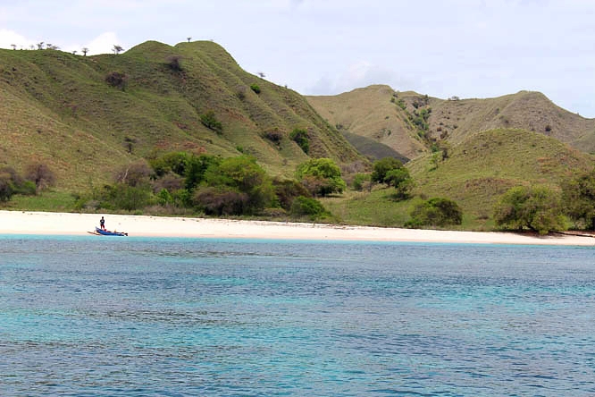 Pink beach on Komodo island