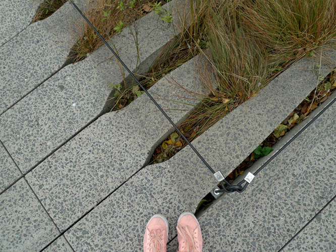 Pavement and plants