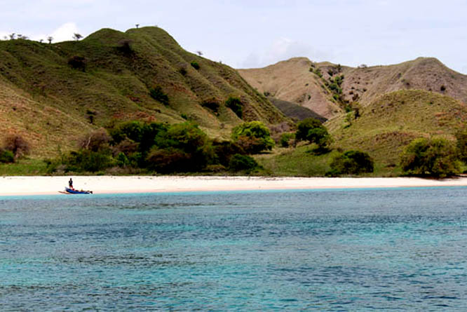 Pink beach in Komodo National Park