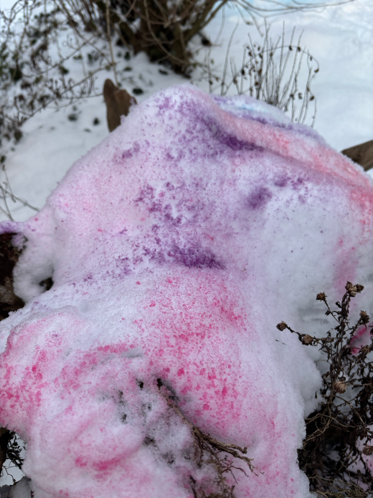 Alles weiß draußen? Von Wegen…die Kinder der „Musikalischen Jahresuhr“ haben gestern passend zum „Karneval der Tiere“ den Schnee bunt gemacht. 