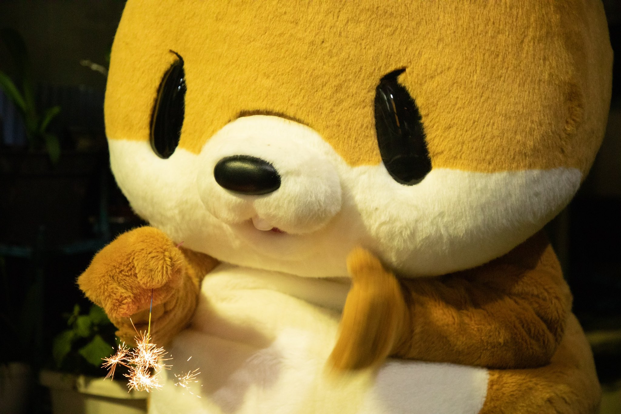 すこしでもみんながやさしい気持ちになれて笑顔になりますように、、、