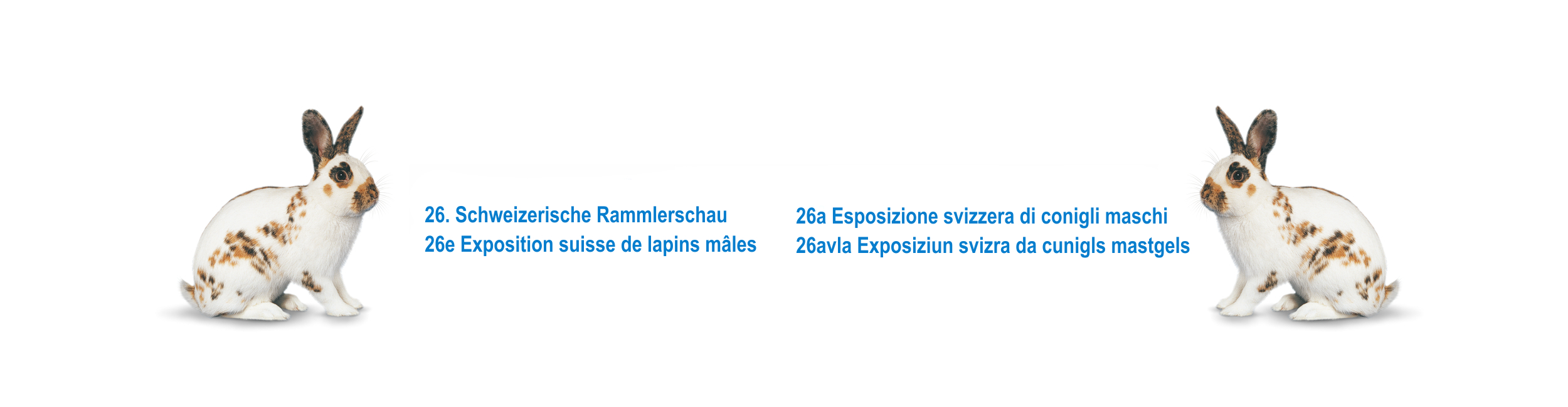 Winterthur wird im Jahr 2025 zum Zentrum der Schweizerischen