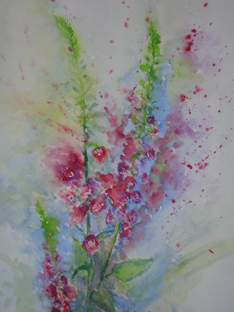 Stockrose 1